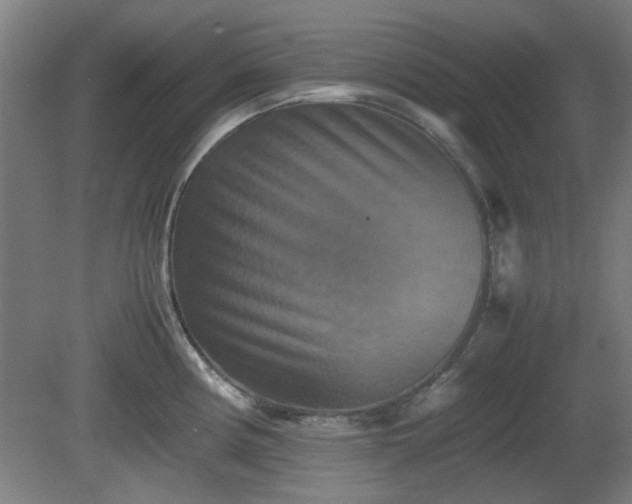 X0000080661194200612221043