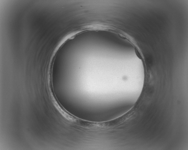 X0000080661195200612221043