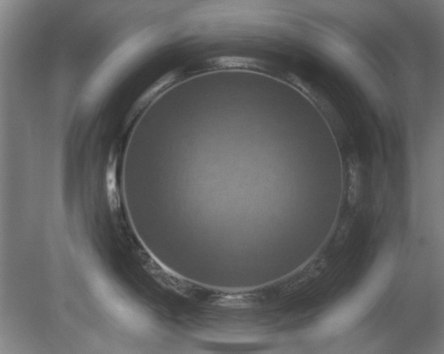 X0000080661198200612221043