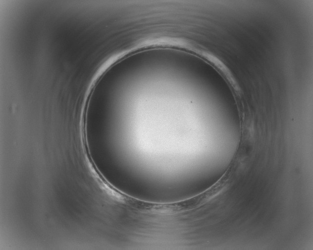 X0000080661199200612221043
