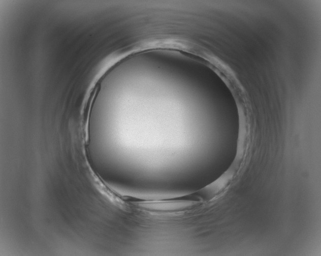X0000080661200200612221043