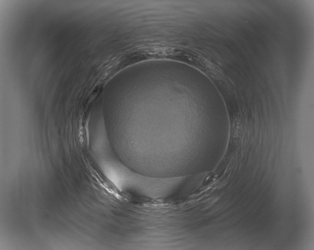 X0000080661202200612221042