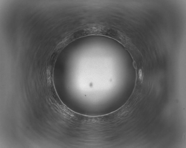 X0000080661203200612221042