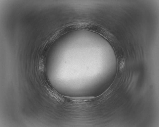 X0000080661204200612221042