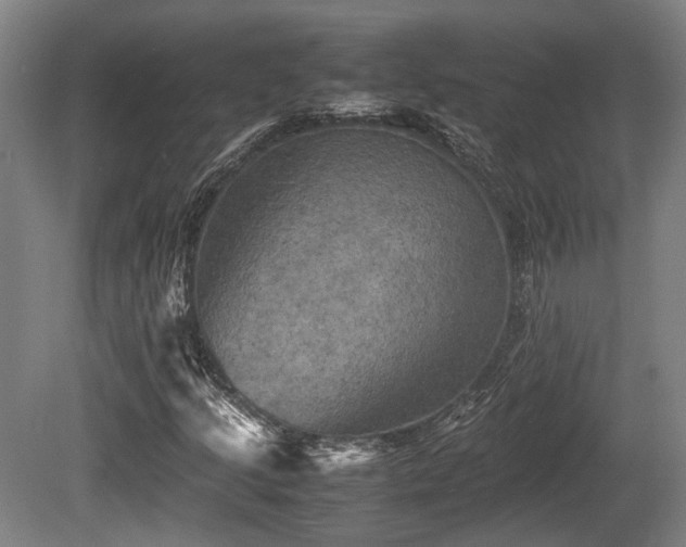 X0000080661205200612221042