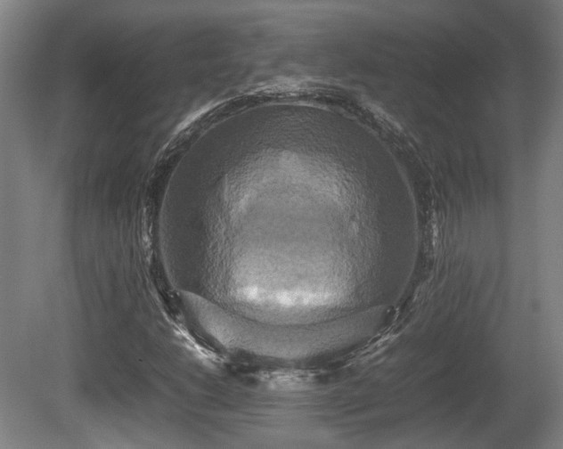 X0000080661206200612221042