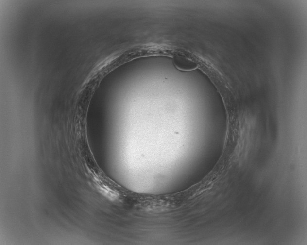 X0000080661207200612221042