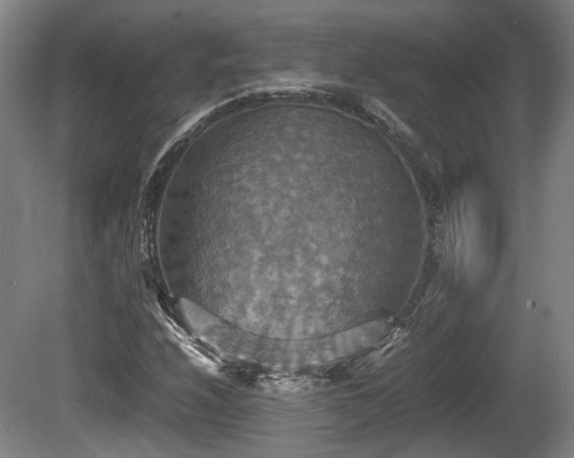 X0000080661208200612221042
