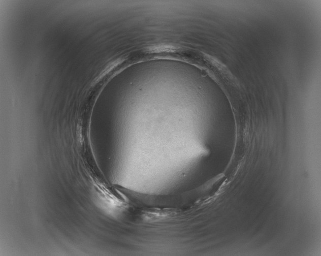 X0000080661209200612221042