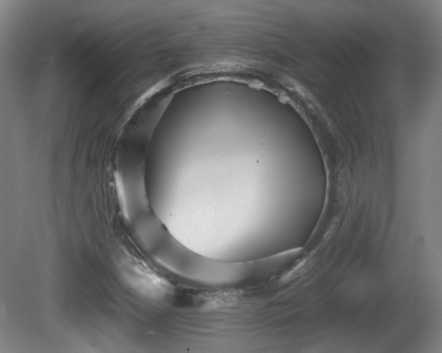 X0000080661210200612221042