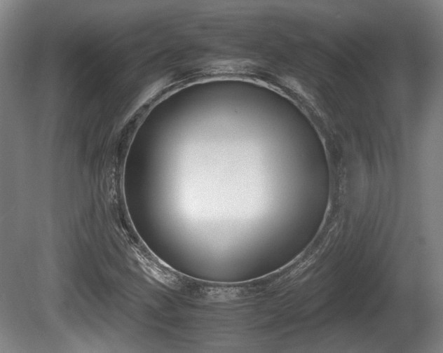 X0000080661211200612221042