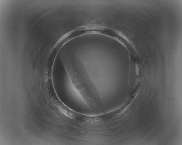 X0000080661213200612221042
