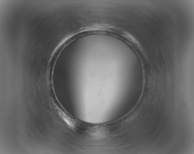 X0000080661216200612221042