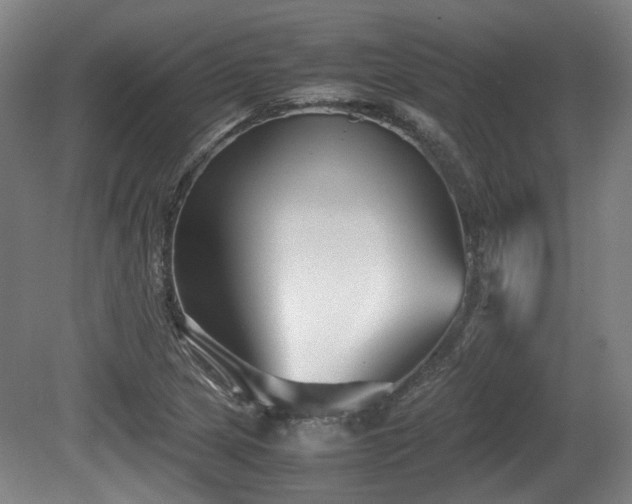 X0000080661217200612221042