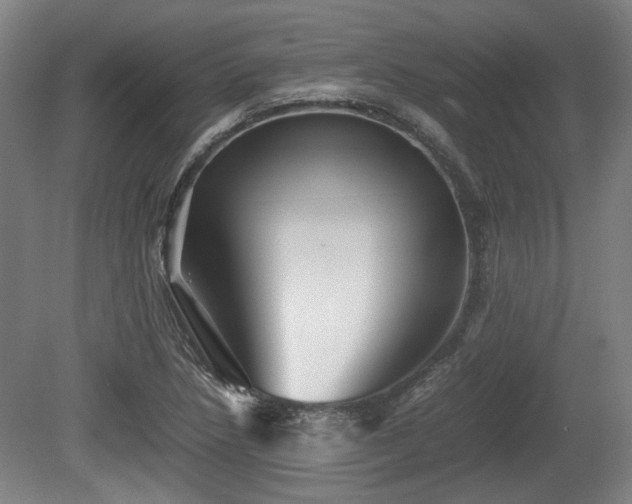 X0000080661218200612221042