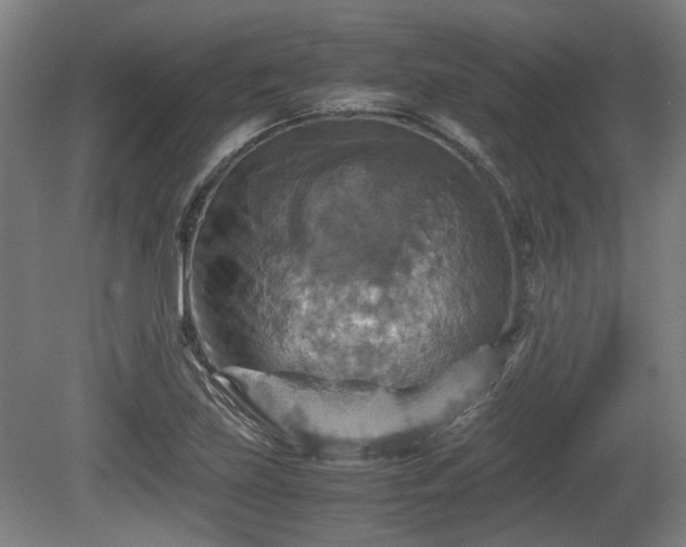 X0000080661219200612221042