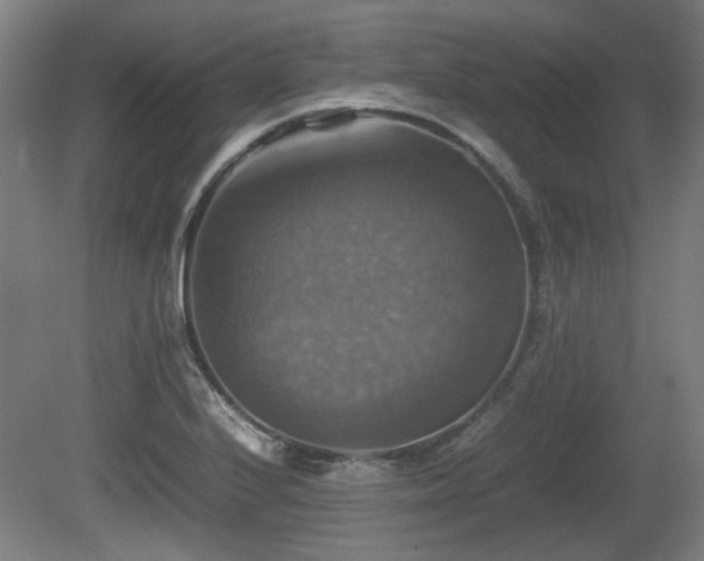 X0000080661224200612221042
