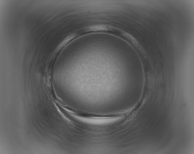 X0000080661225200612221042