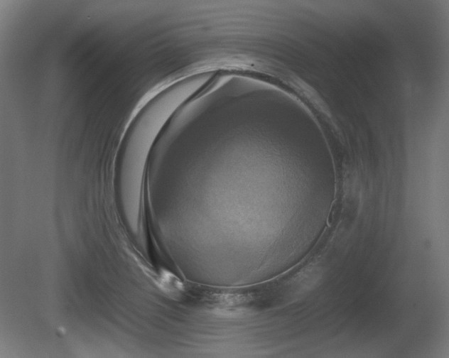 X0000080661226200612221042