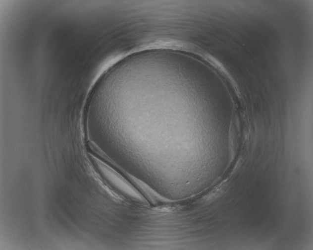 X0000080661230200612221042