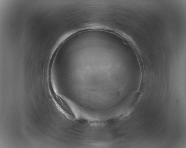 X0000080661231200612221042