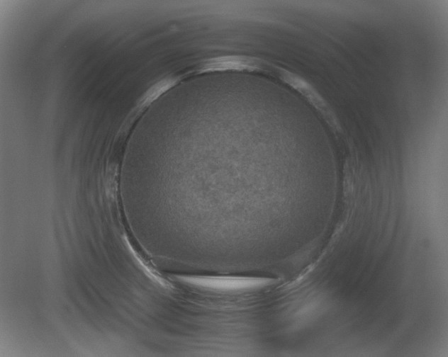 X0000080661233200612221042