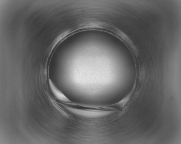 X0000080661234200612221042