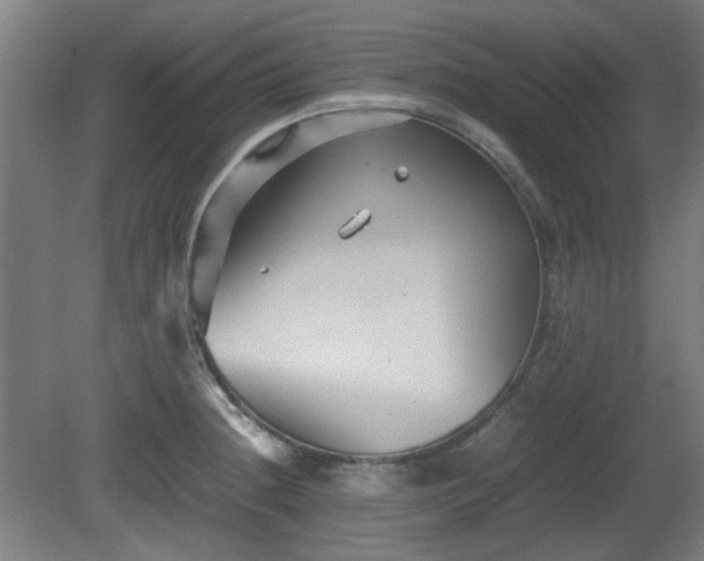 X0000080661236200612221042