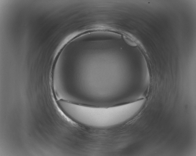X0000080661239200612221043