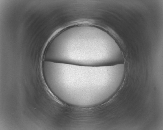 X0000080661240200612221043