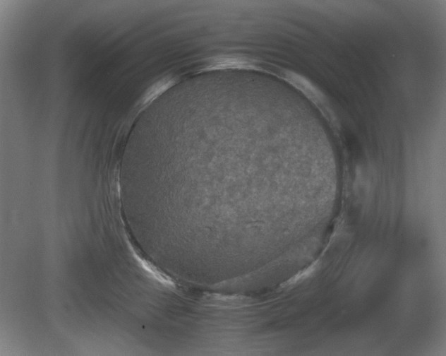 X0000080661241200612221043