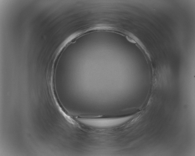 X0000080661245200612221043