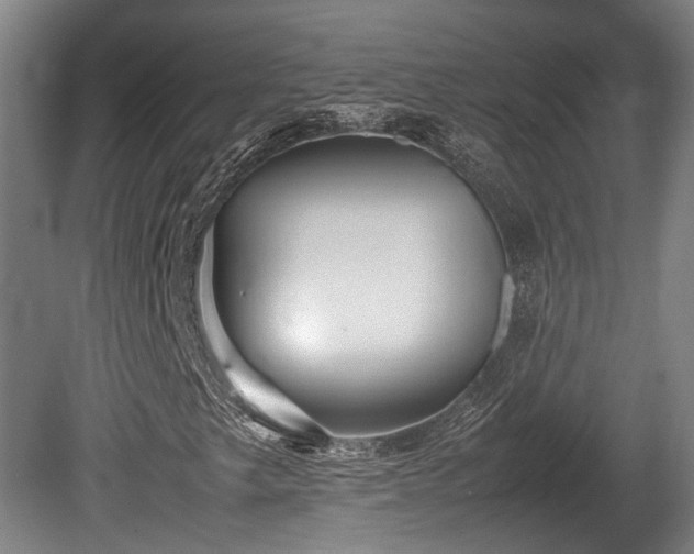 X0000080661249200612221042