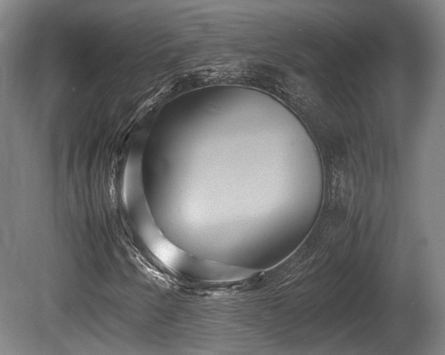 X0000080661250200612221042