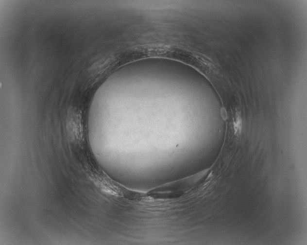 X0000080661252200612221042