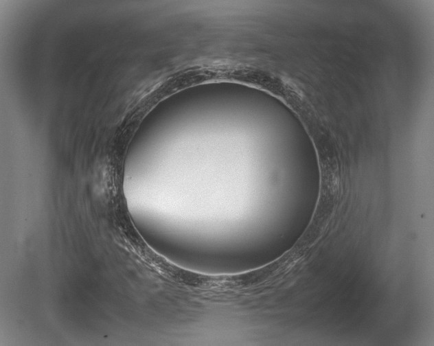 X0000080661253200612221042