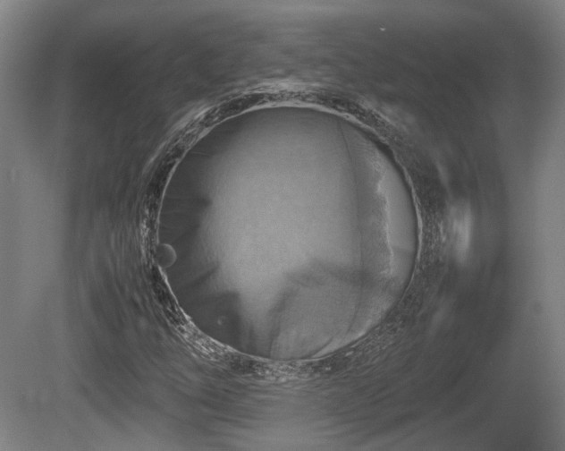 X0000080661254200612221042