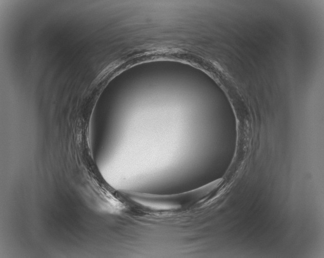 X0000080661257200612221042