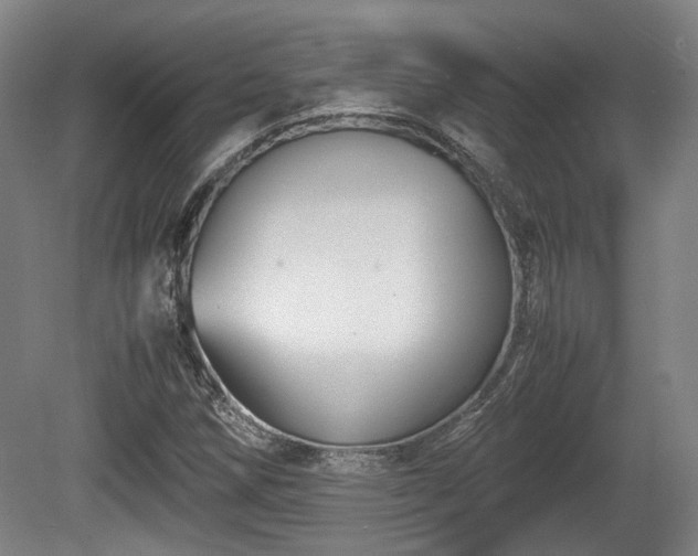 X0000080661258200612221042