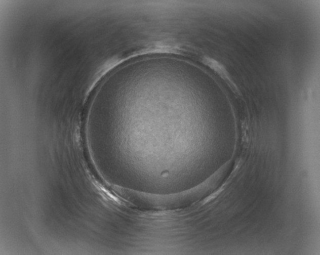 X0000080661260200612221042