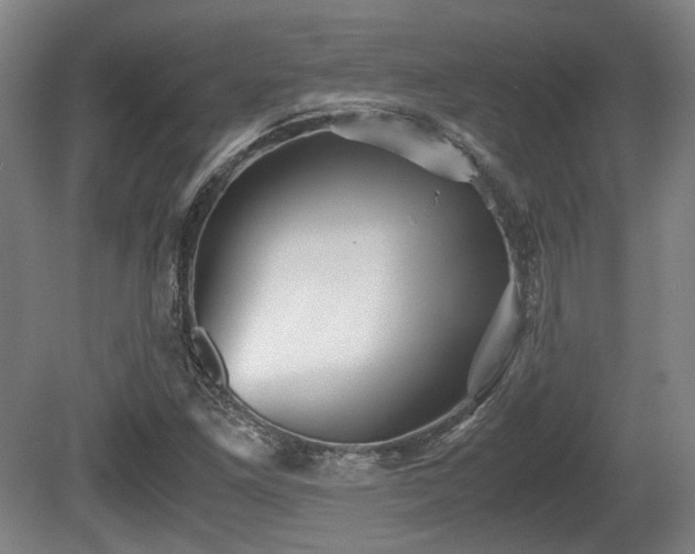 X0000080661261200612221042