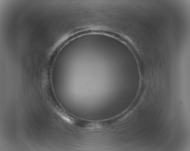 X0000080661263200612221042