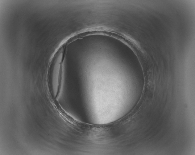 X0000080661264200612221042