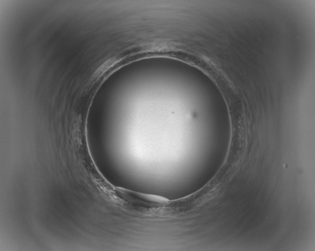X0000080661265200612221042