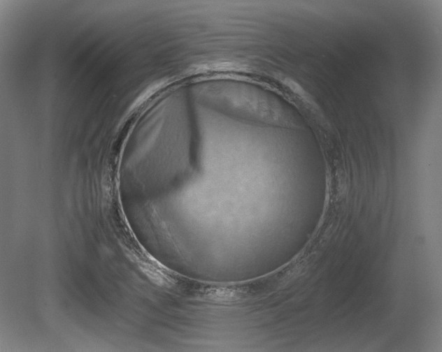X0000080661266200612221042