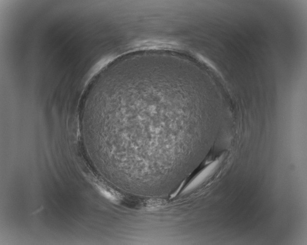 X0000080661267200612221042
