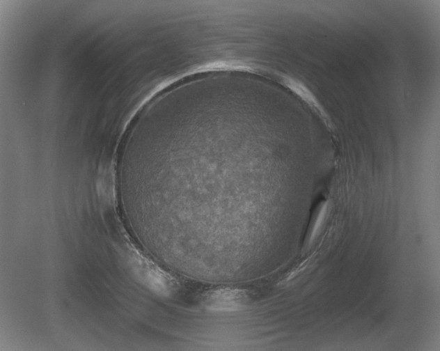 X0000080661268200612221042
