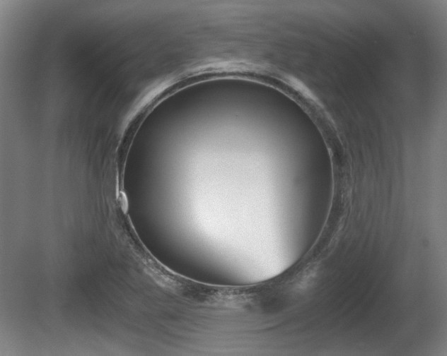 X0000080661269200612221042