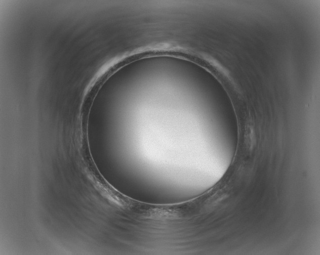 X0000080661270200612221042