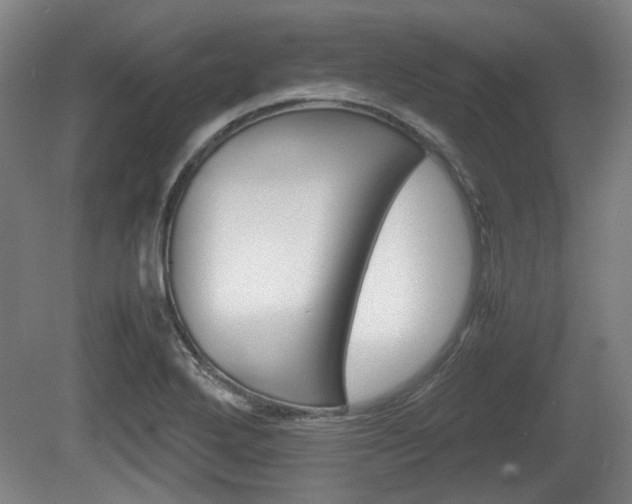 X0000080661272200612221041